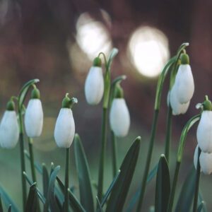 Feeling blue? 5 ways to get happy