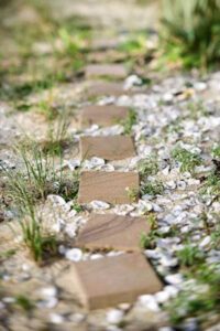 Blackthorn Trust pathway-steps