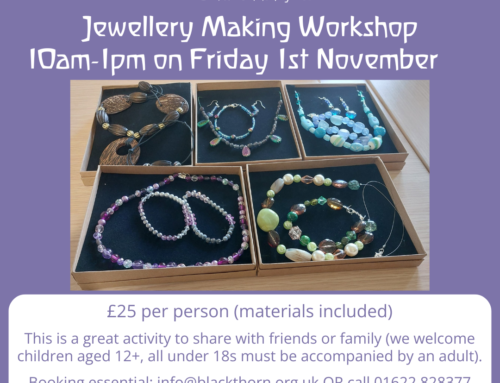 Jewellery Making Workshop (Nov 2024)