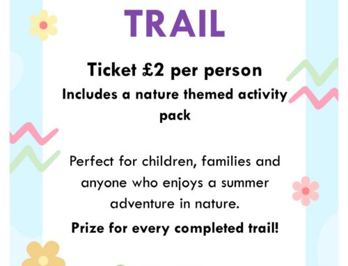 Summer trail for kids